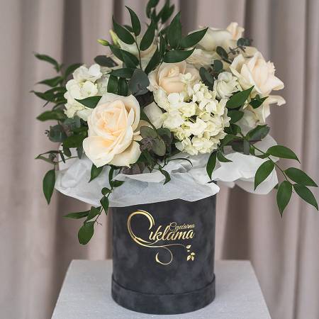 Box, sivi bijelo cvijeće